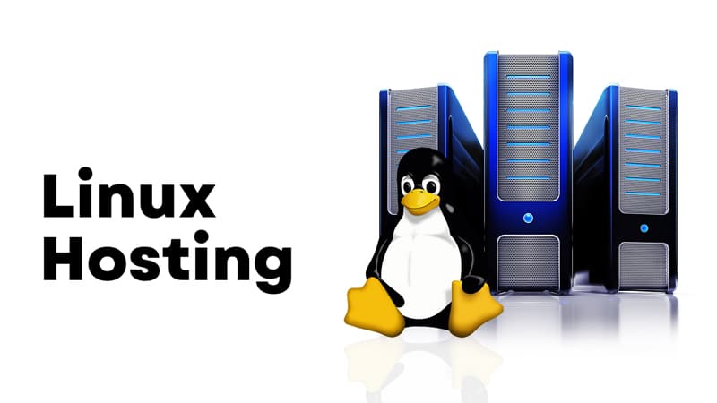 Hosting Service Image 2